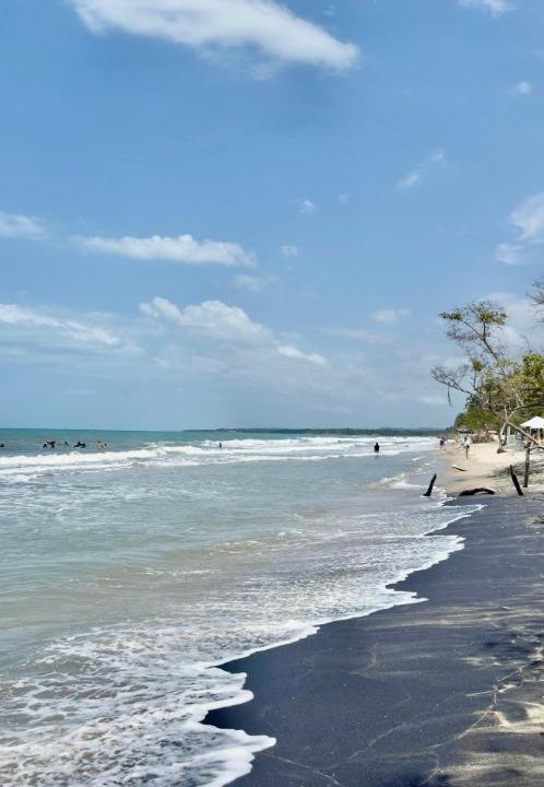 Photo of Others in Palomino