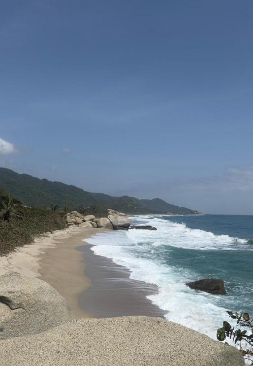 Photo of Others in Palomino