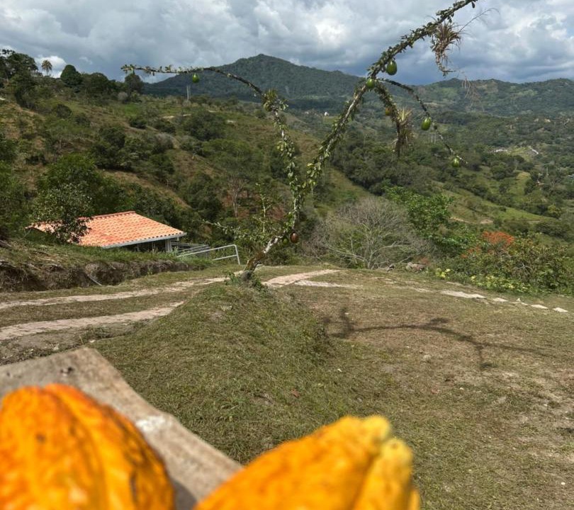 Photo of Others in Nocaima