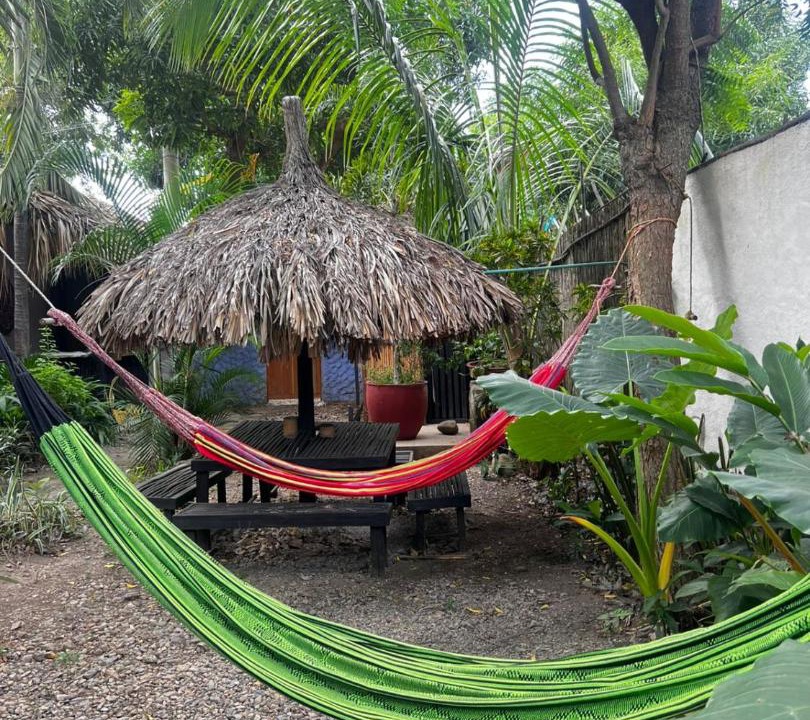 Photo of Others in Palomino