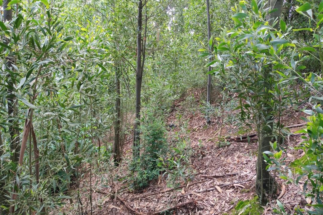 Photo of Others in Duitama