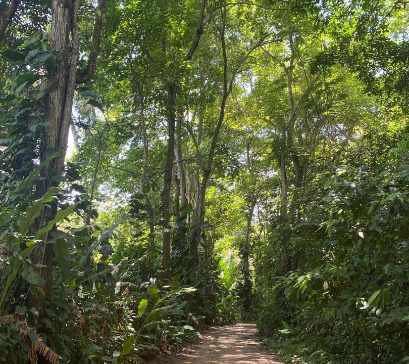 Photo of Others in Guachaca