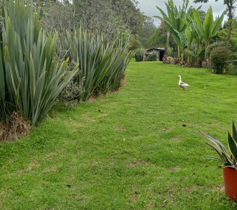 Photo of Others in Guatavita