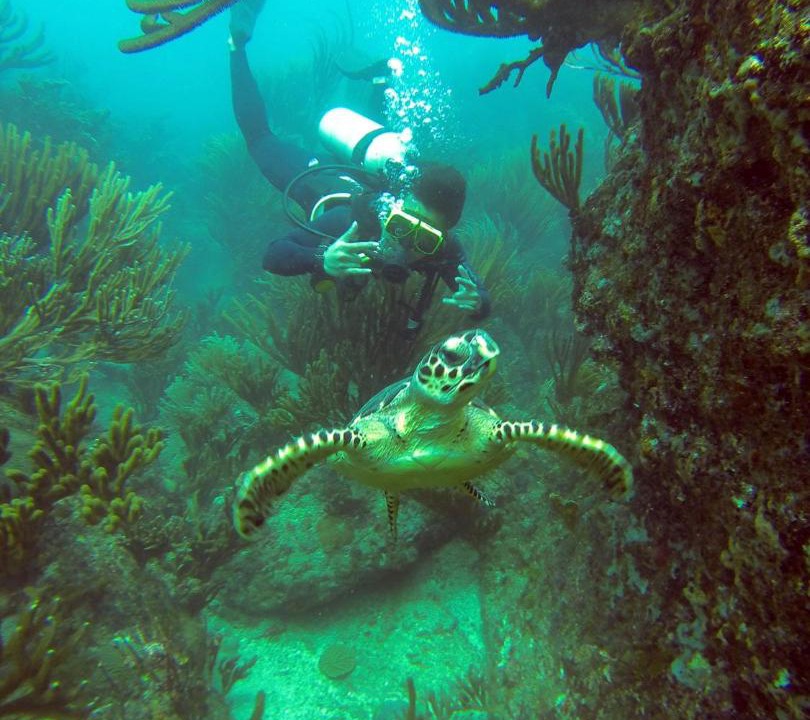 Photo of Others in Taganga