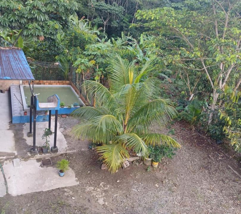 Photo of Others in Mocoa