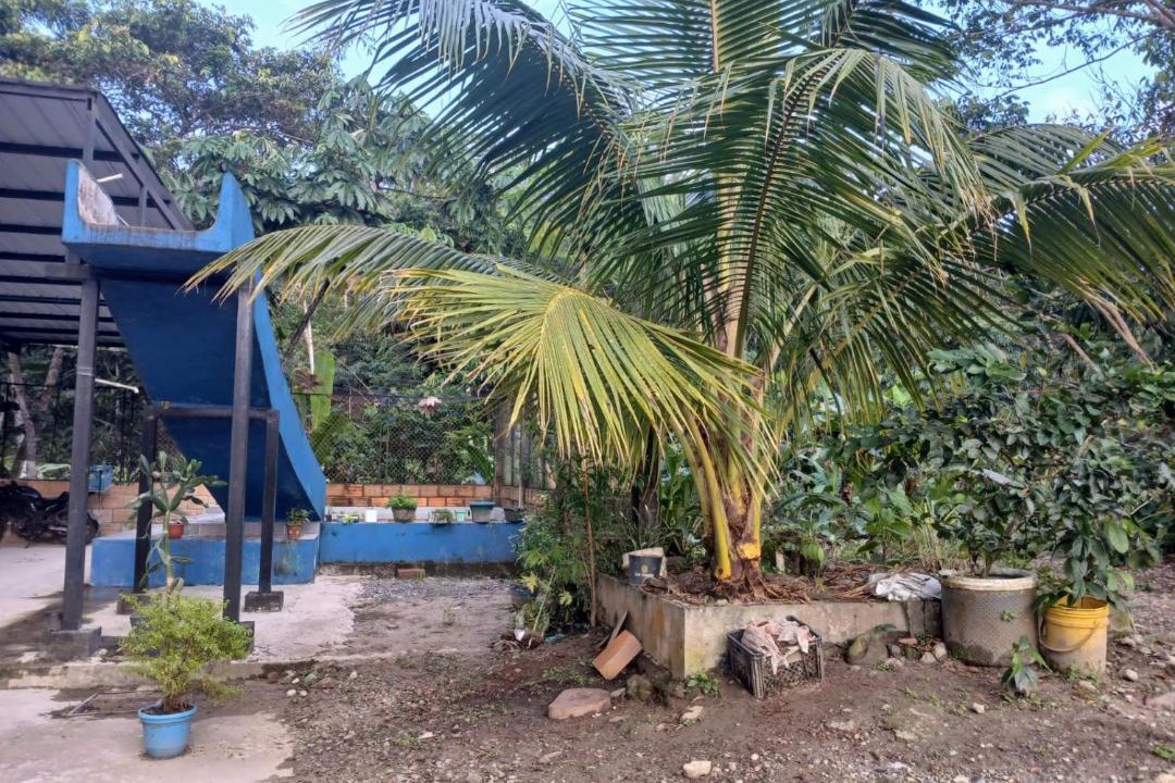 Photo of Others in Mocoa