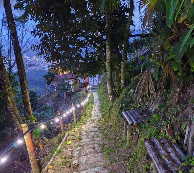 Photo of Others in Ibague
