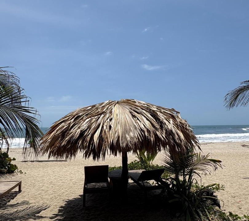 Photo of Others in Palomino