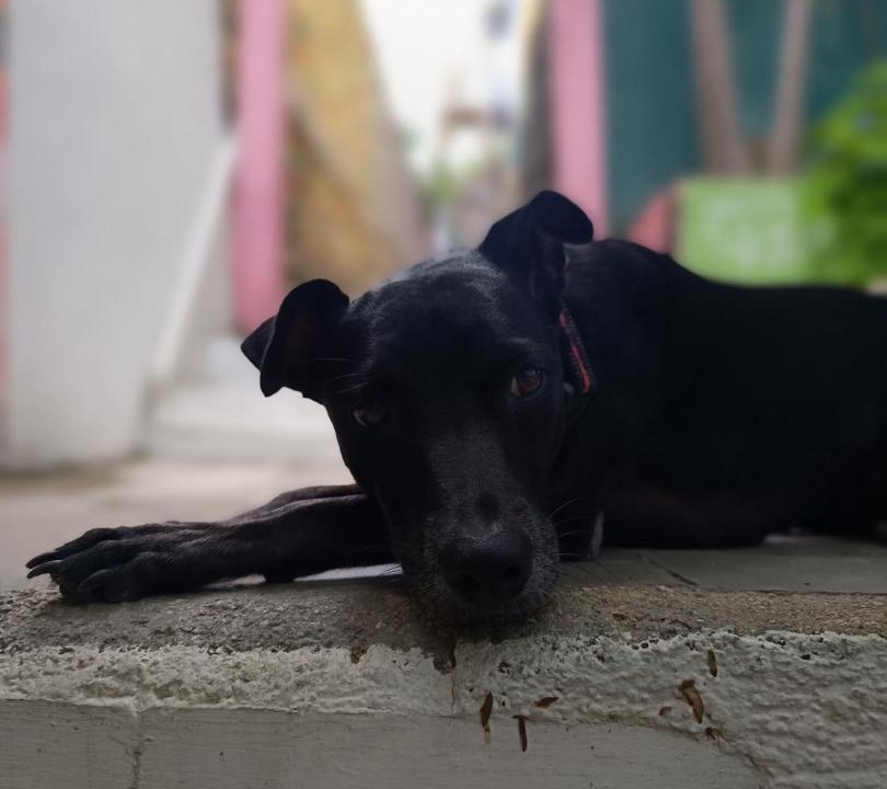 Photo of Others in Taganga