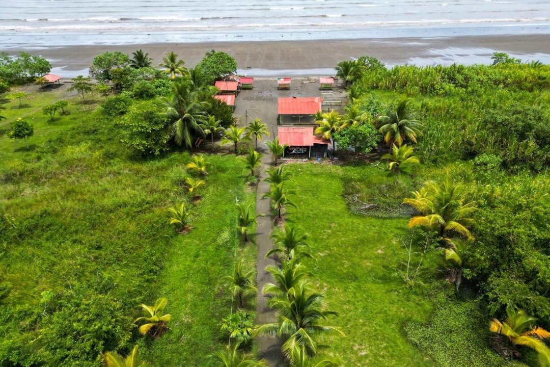 Photo of Others in Nuqui