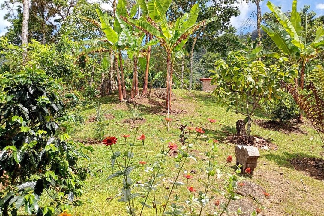 Photo of Others in Tamesis