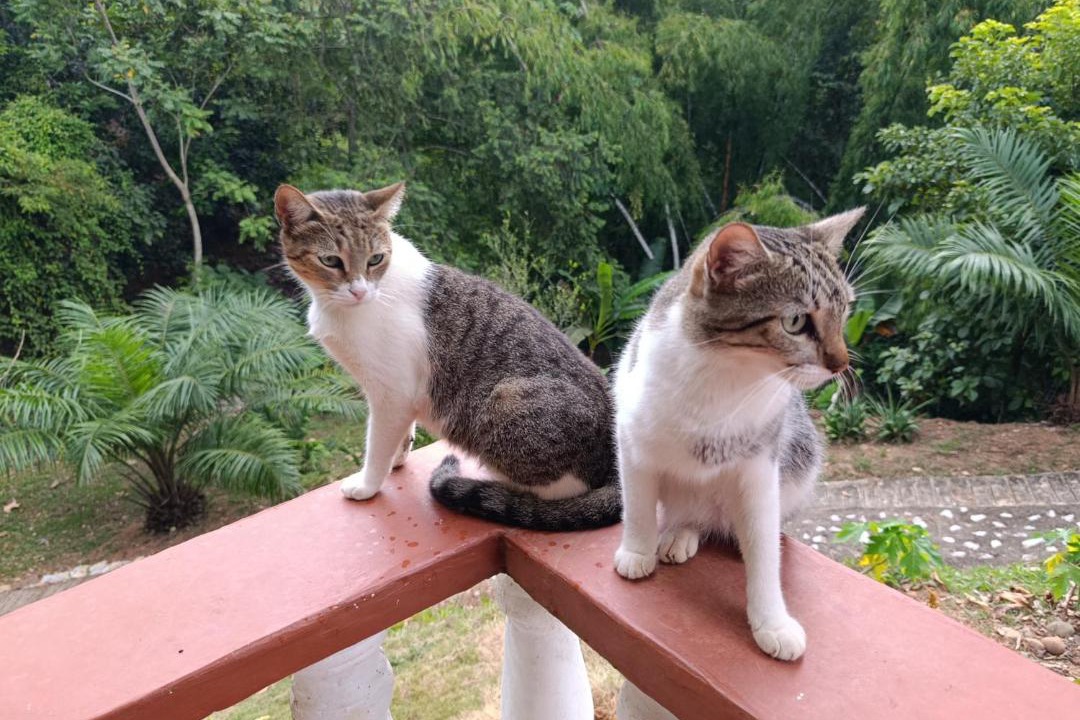 Photo of Others in Puerto Triunfo