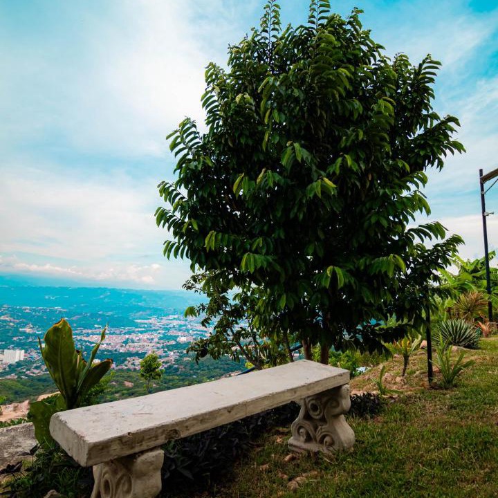 Photo of Others in Rionegro