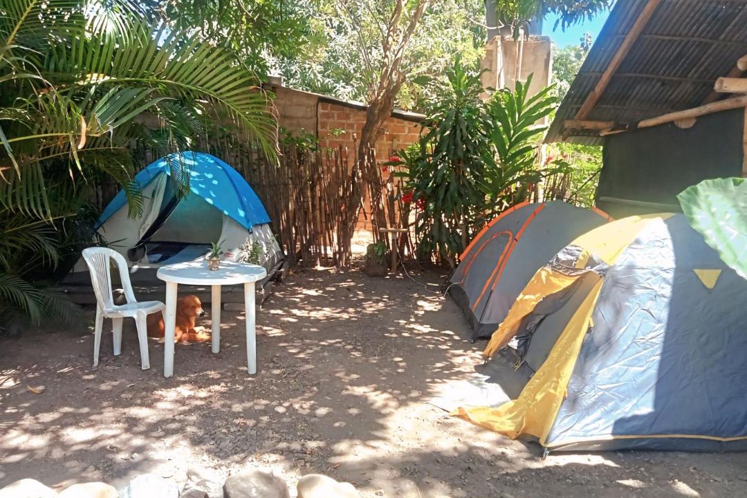 Photo of Others in Palomino