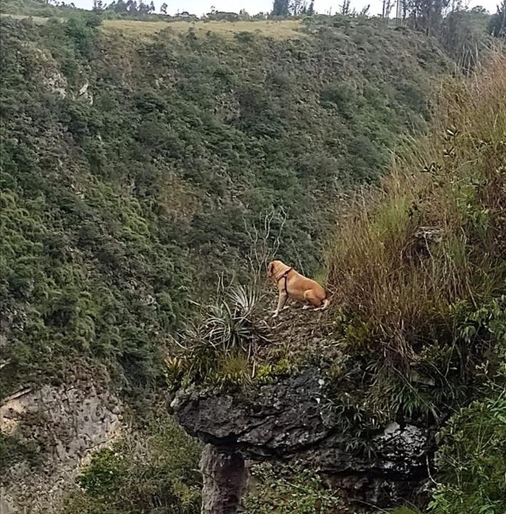 Photo of Others in Choconta