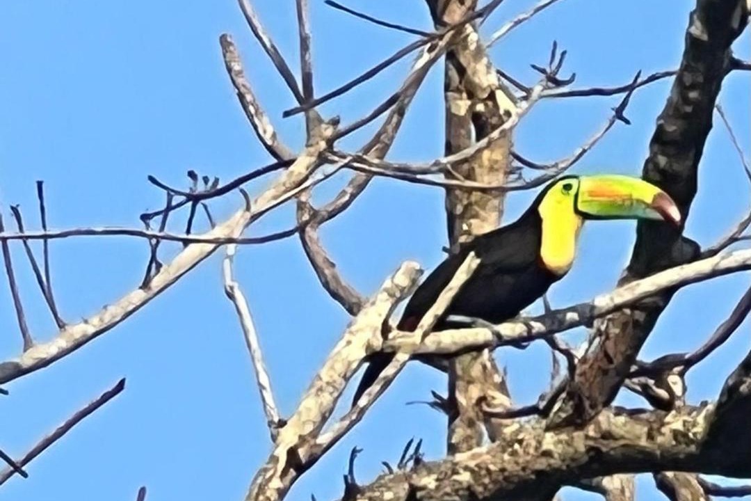 Photo of Others in Santa Marta