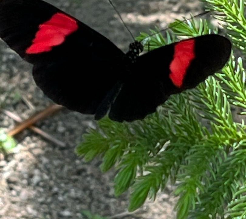 Photo of Others in Santa Marta