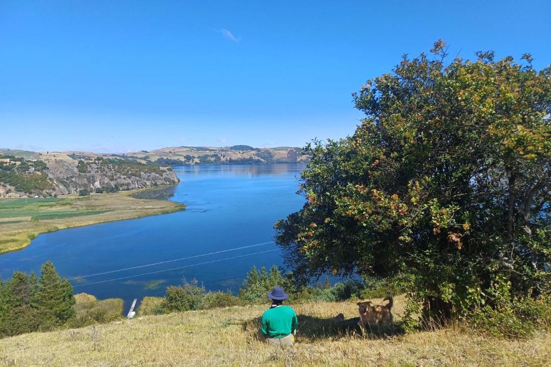 Photo of Others in Tota
