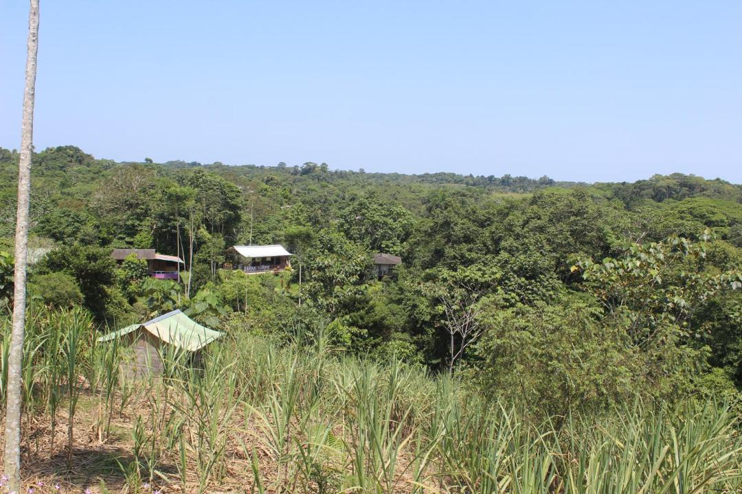 Photo of Others in Puerto Asis