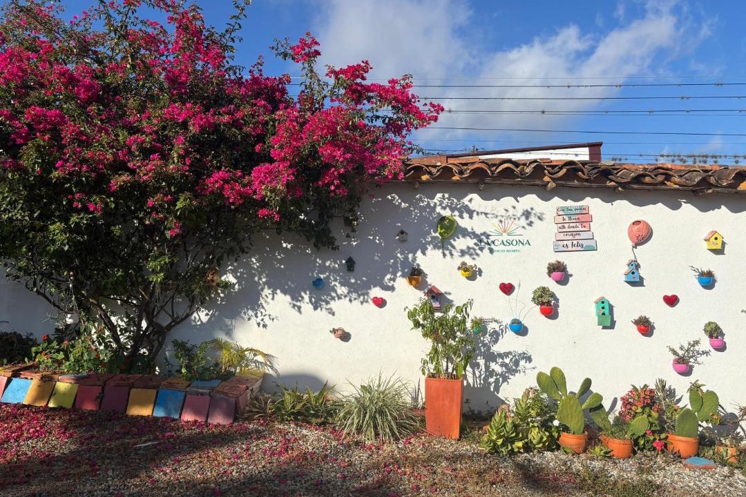 Photo of Others in Zapatoca