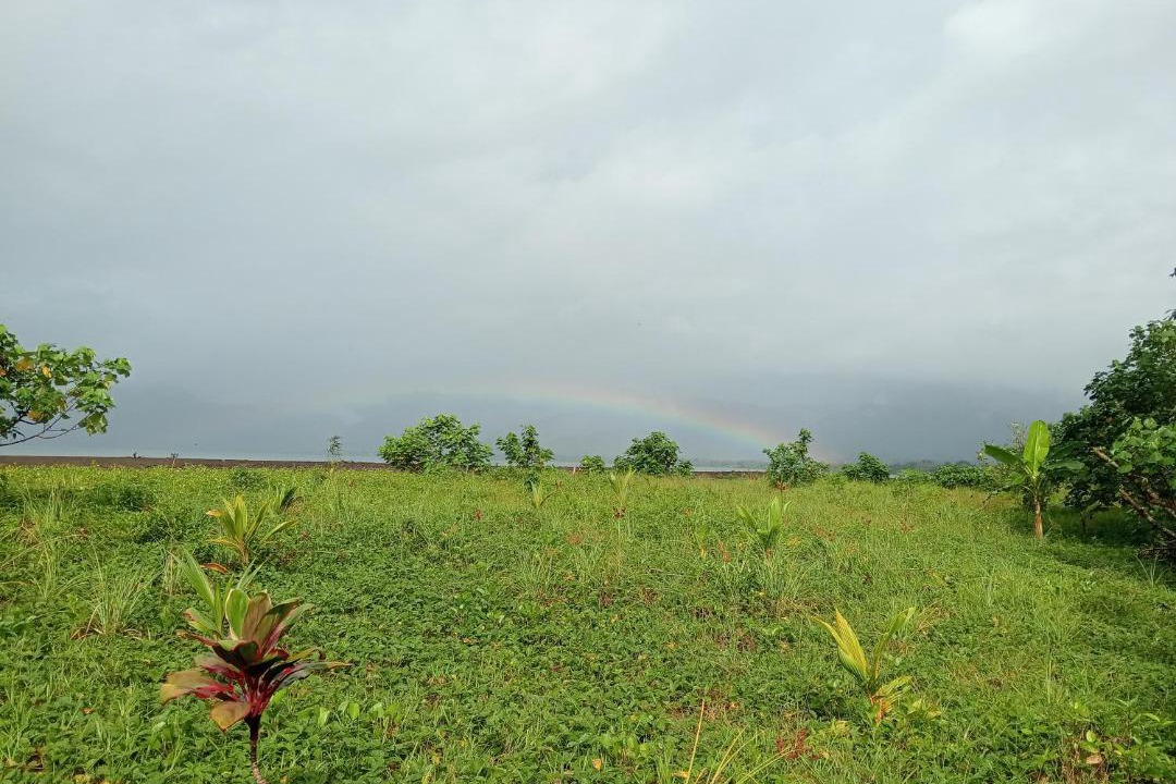 Photo of Others in Nuqui