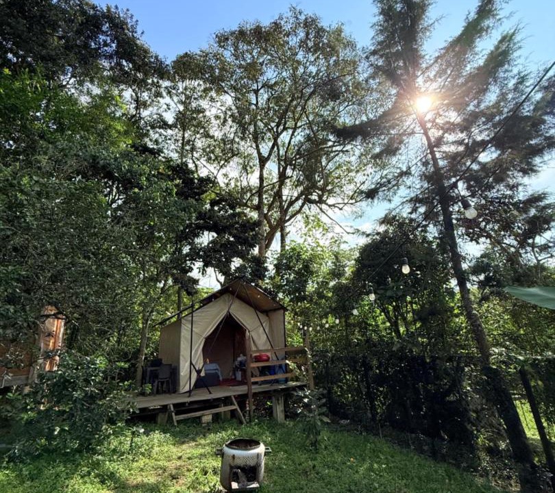 Photo of Outdoor in Jardin