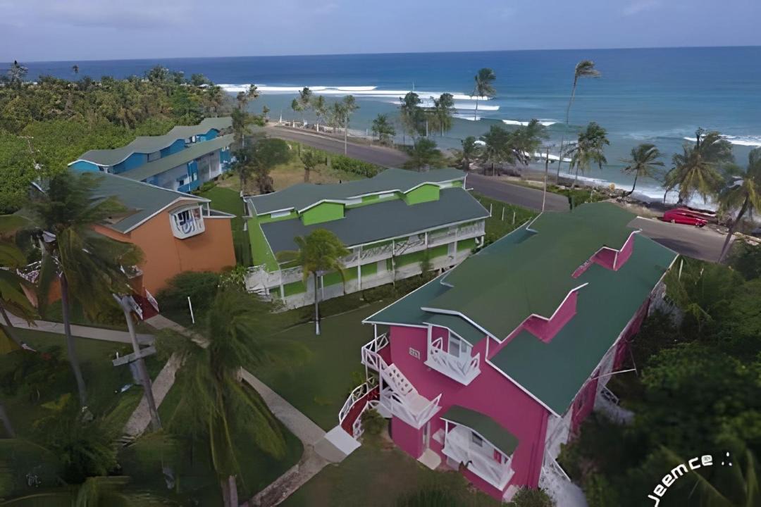 Photo of Others in Punta Sur