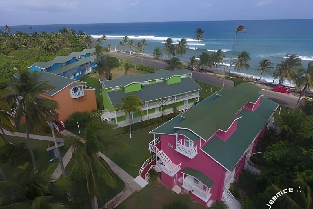 Photo of Others in Punta Sur