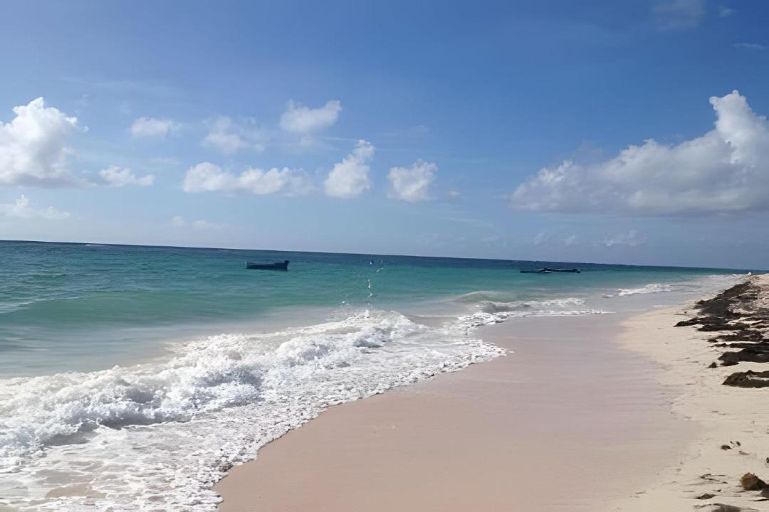 Photo of Others in Punta Sur