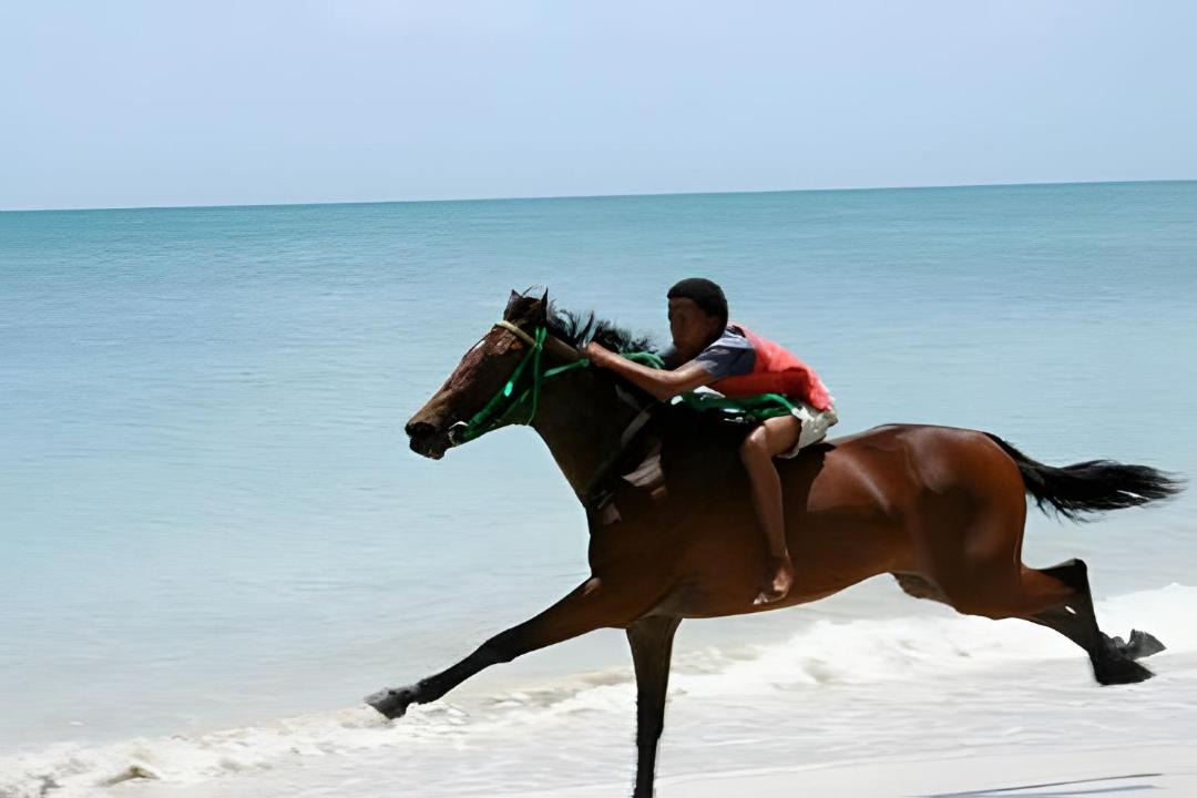 Photo of Others in Providencia