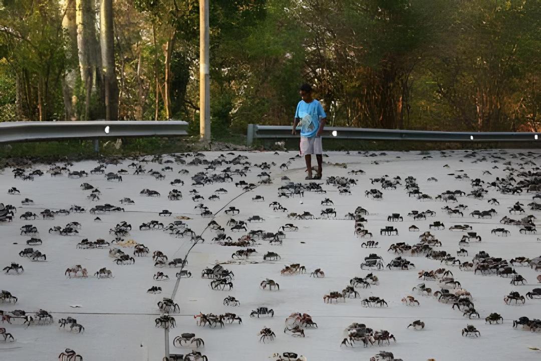Photo of Others in Providencia