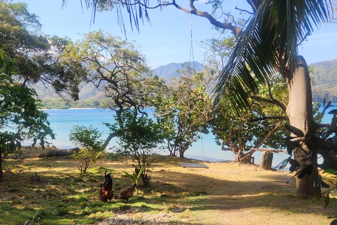 Photo of Others in Playa Cinto