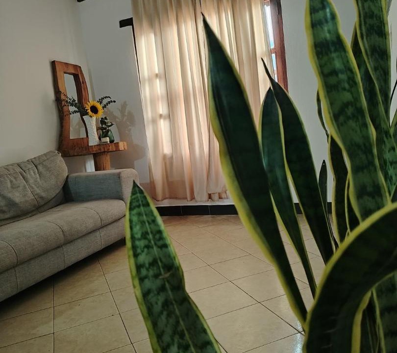 Photo of Others in Villa de Leyva