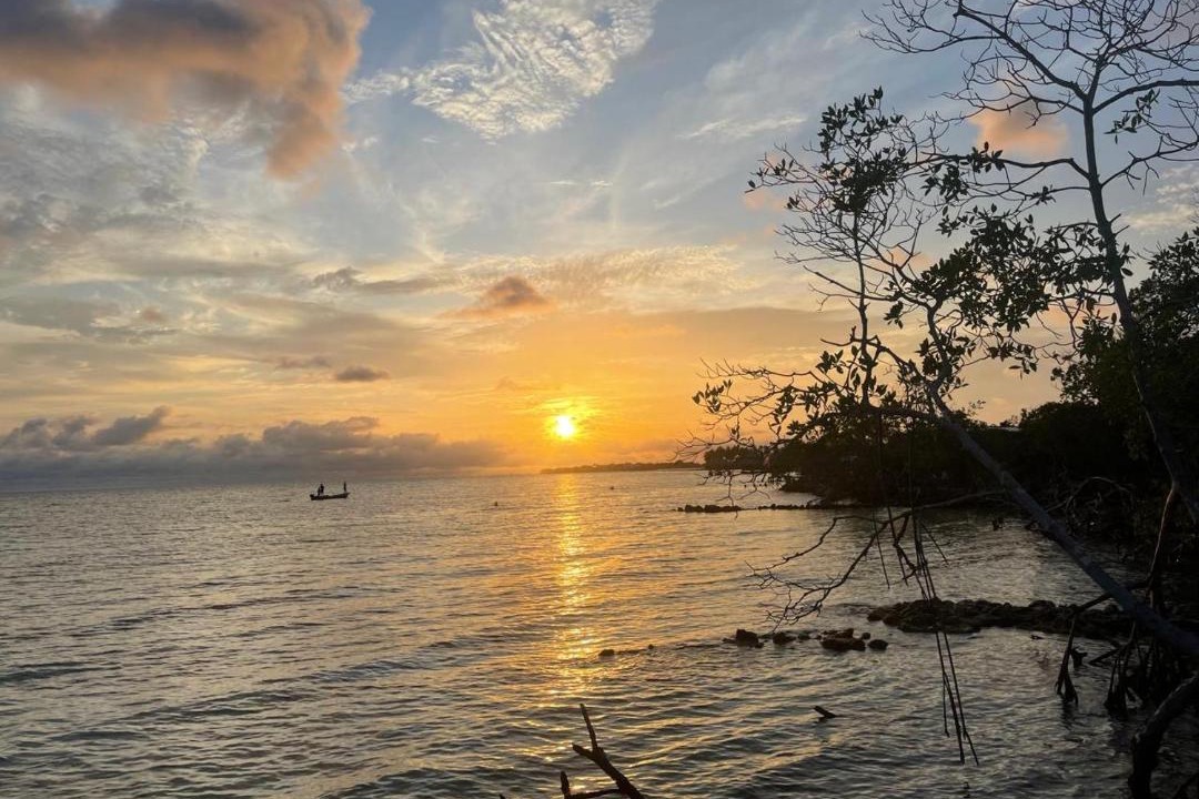 Photo of Others in Isla Tintipan