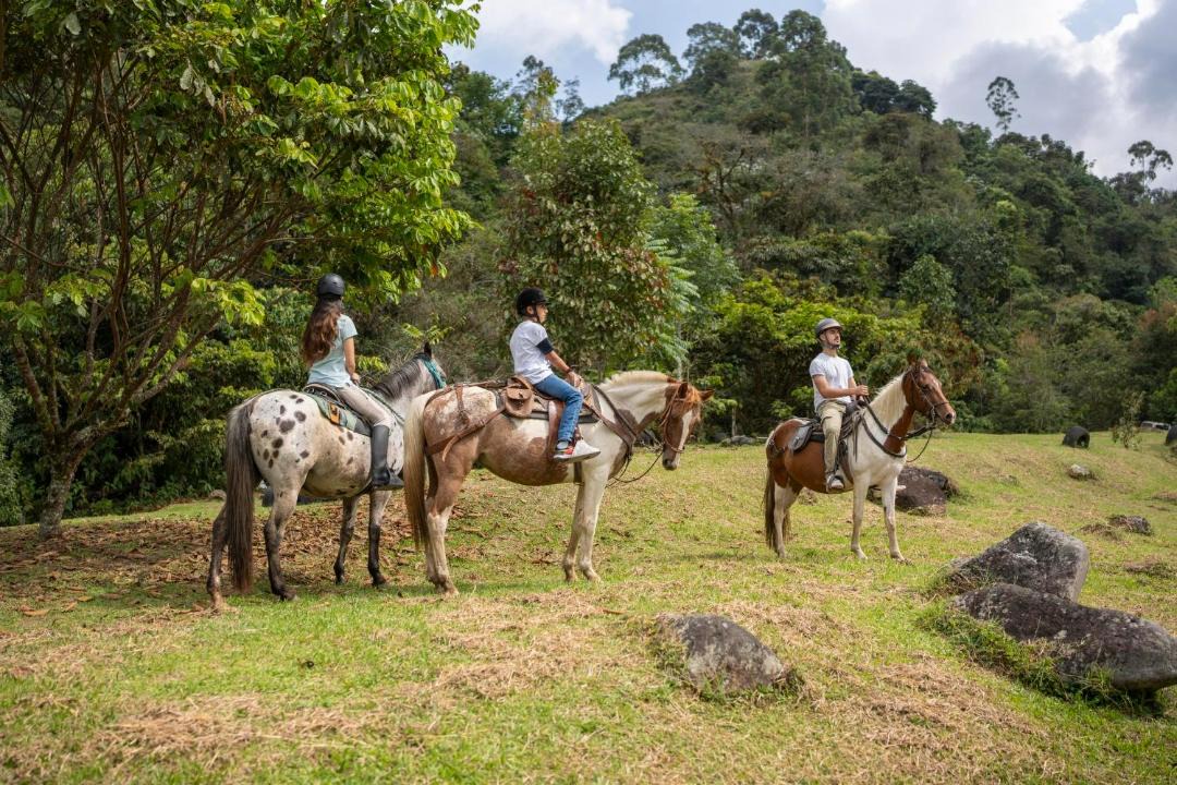 Photo of Others in Santa Rosa de Cabal
