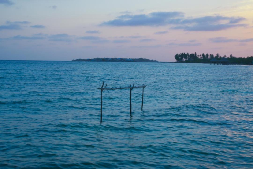 Photo of Others in Isla Tintipan