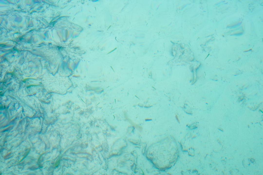 Photo of Others in Isla Tintipan