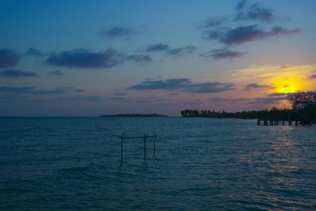 Photo of Others in Isla Tintipan