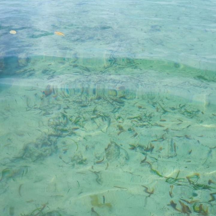 Photo of Others in Isla Tintipan