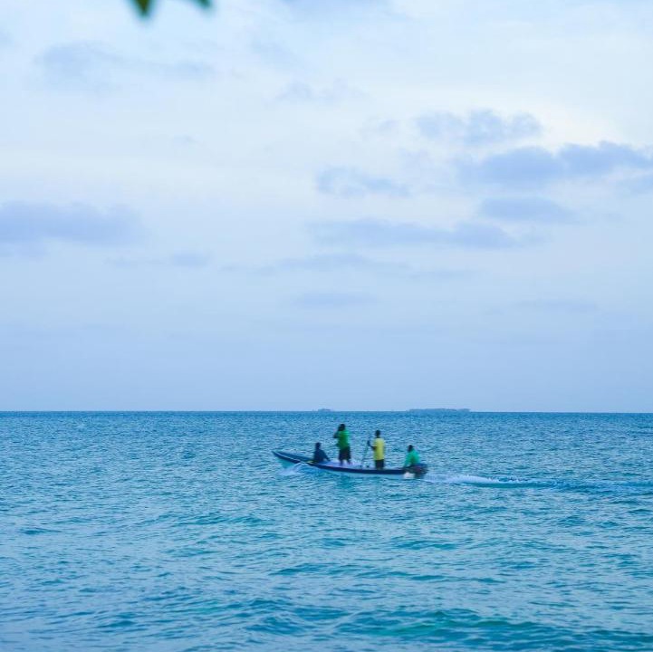 Photo of Others in Isla Tintipan