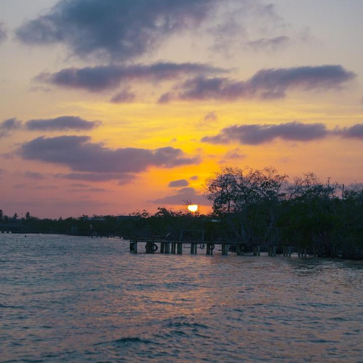 Photo of Others in Isla Tintipan
