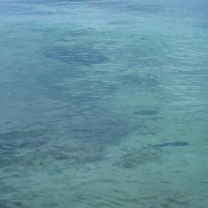 Photo of Others in Isla Tintipan