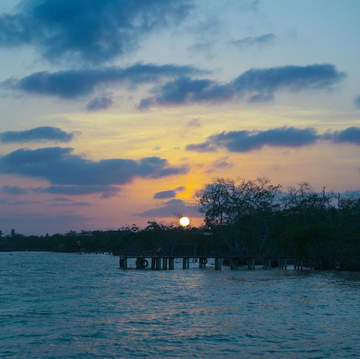 Photo of Others in Isla Tintipan