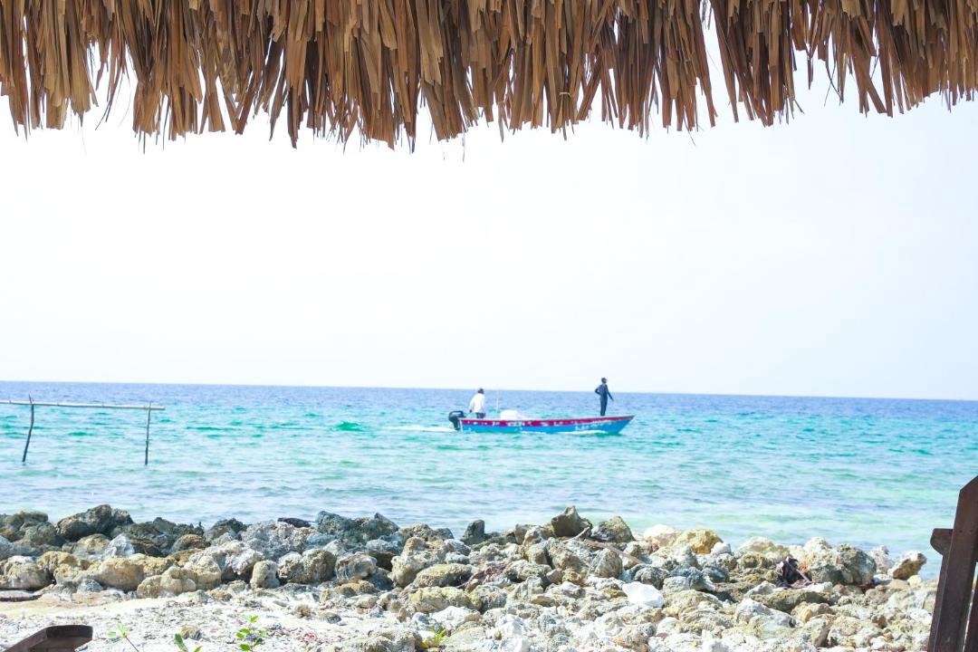 Photo of Others in Isla Tintipan