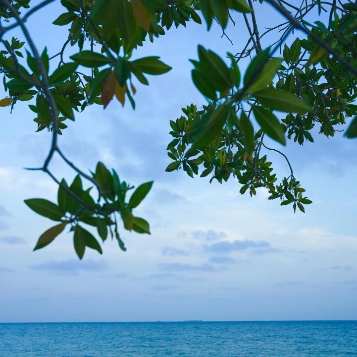 Photo of Others in Isla Tintipan