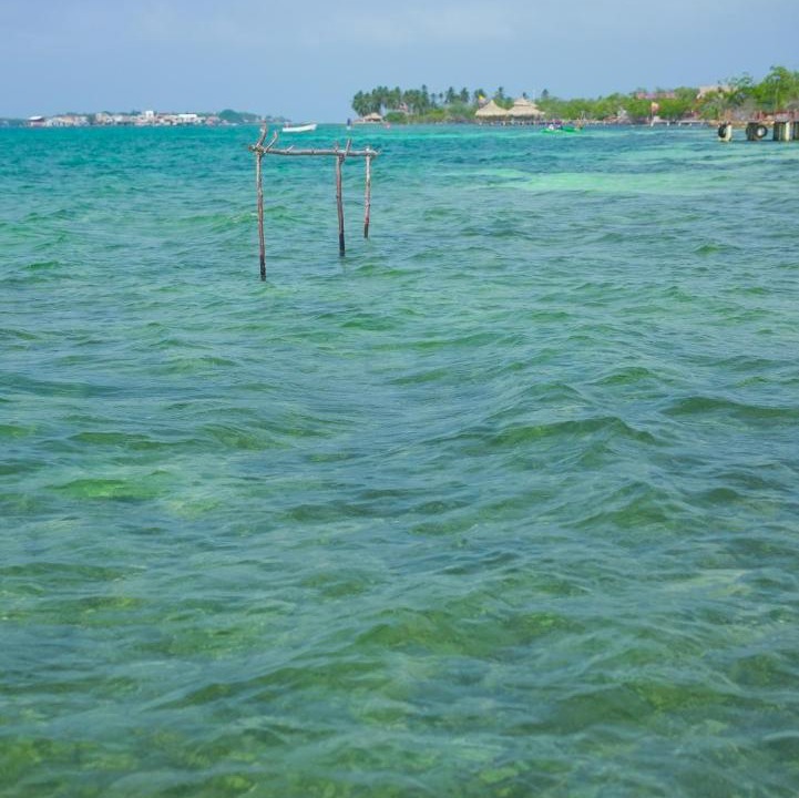 Photo of Others in Isla Tintipan