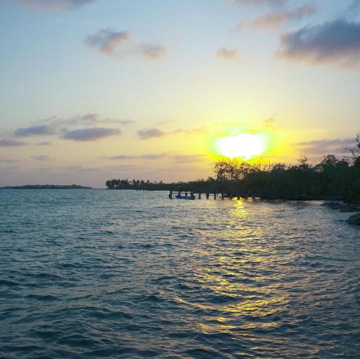 Photo of Others in Isla Tintipan
