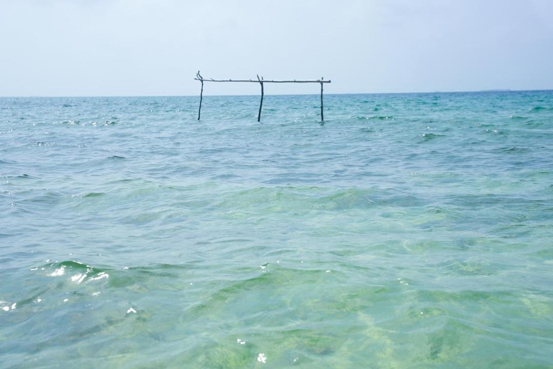 Photo of Others in Isla Tintipan
