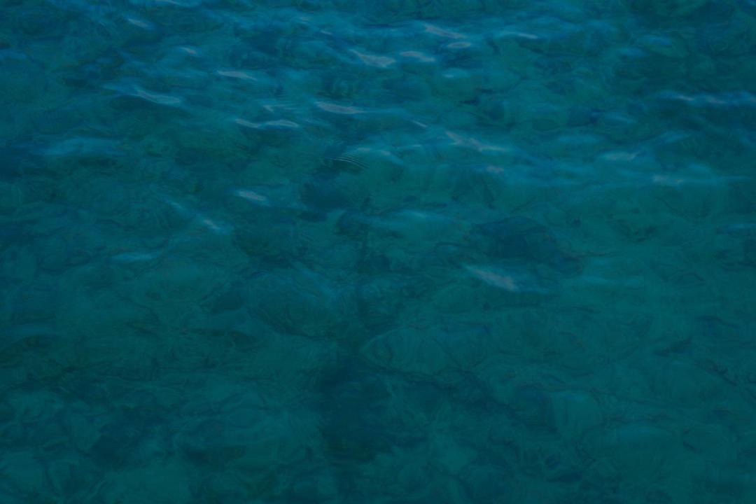 Photo of Others in Isla Tintipan