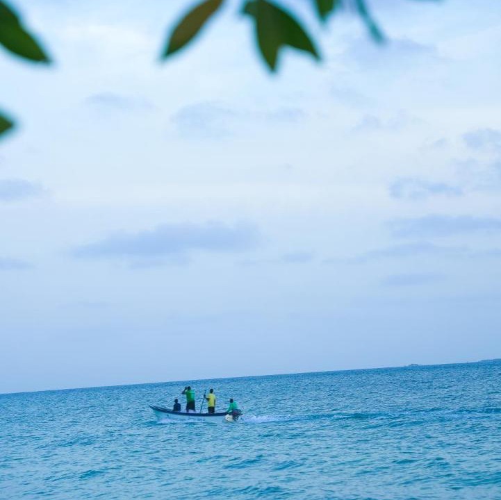 Photo of Others in Isla Tintipan